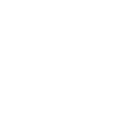IDG — Industrial Development Group logo